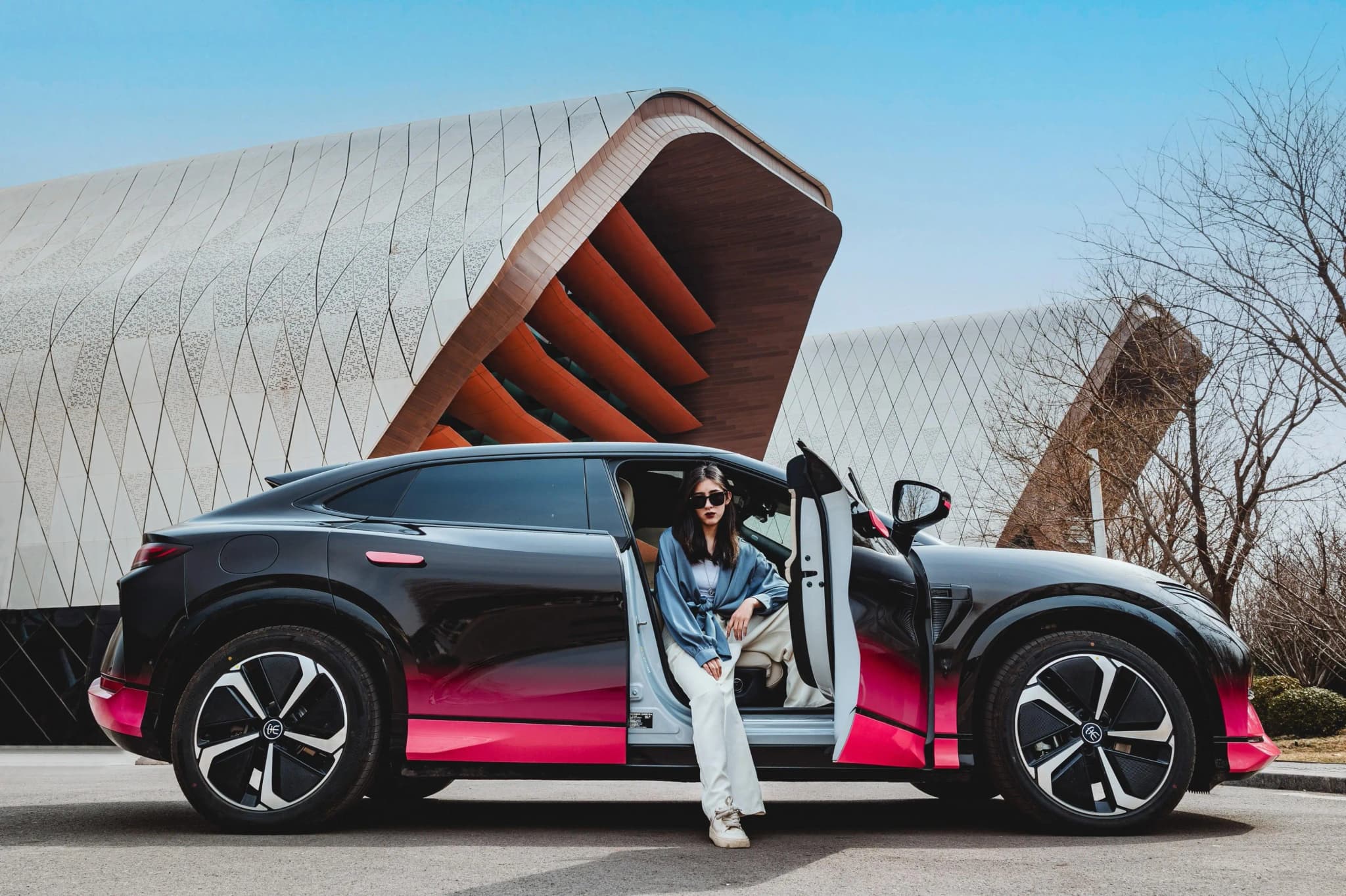 Top 5 Reasons to Purchase an NEV brand in China