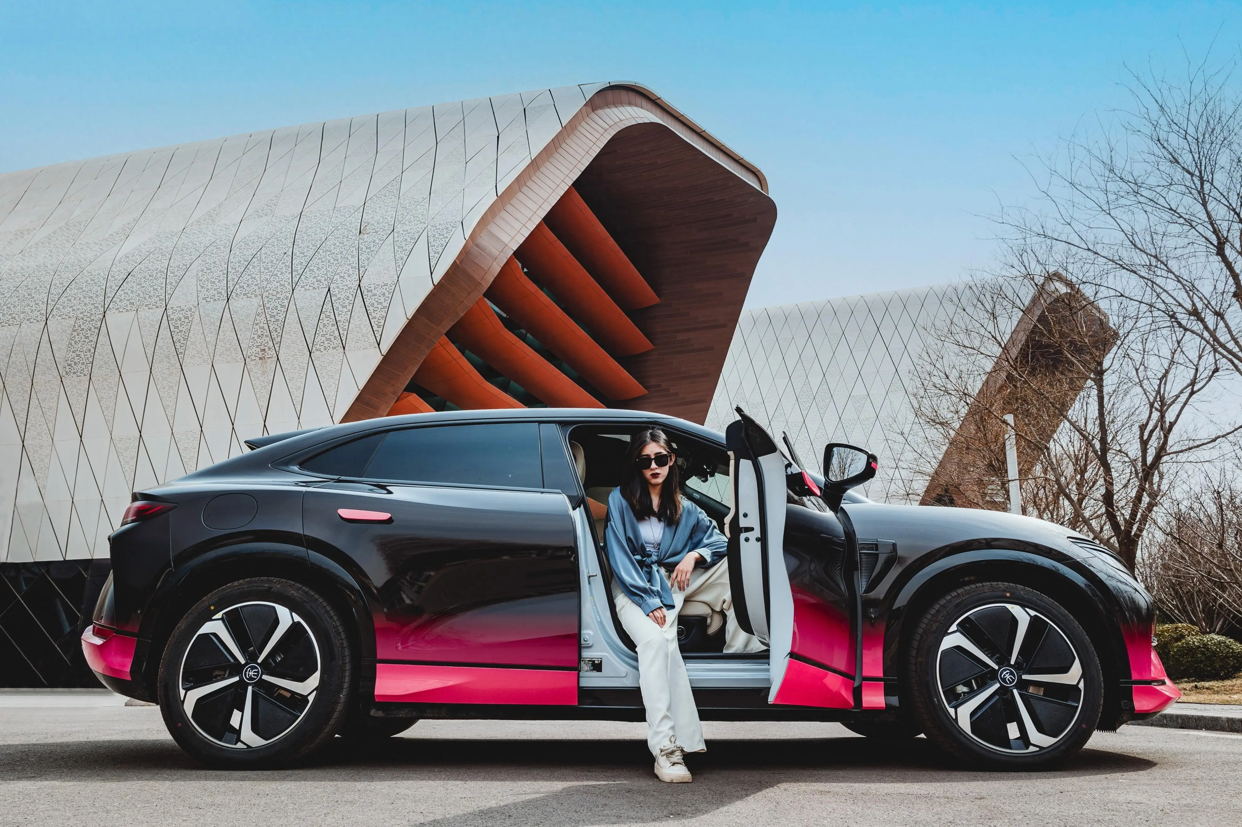 Top 5 Reasons to Purchase an NEV brand in China